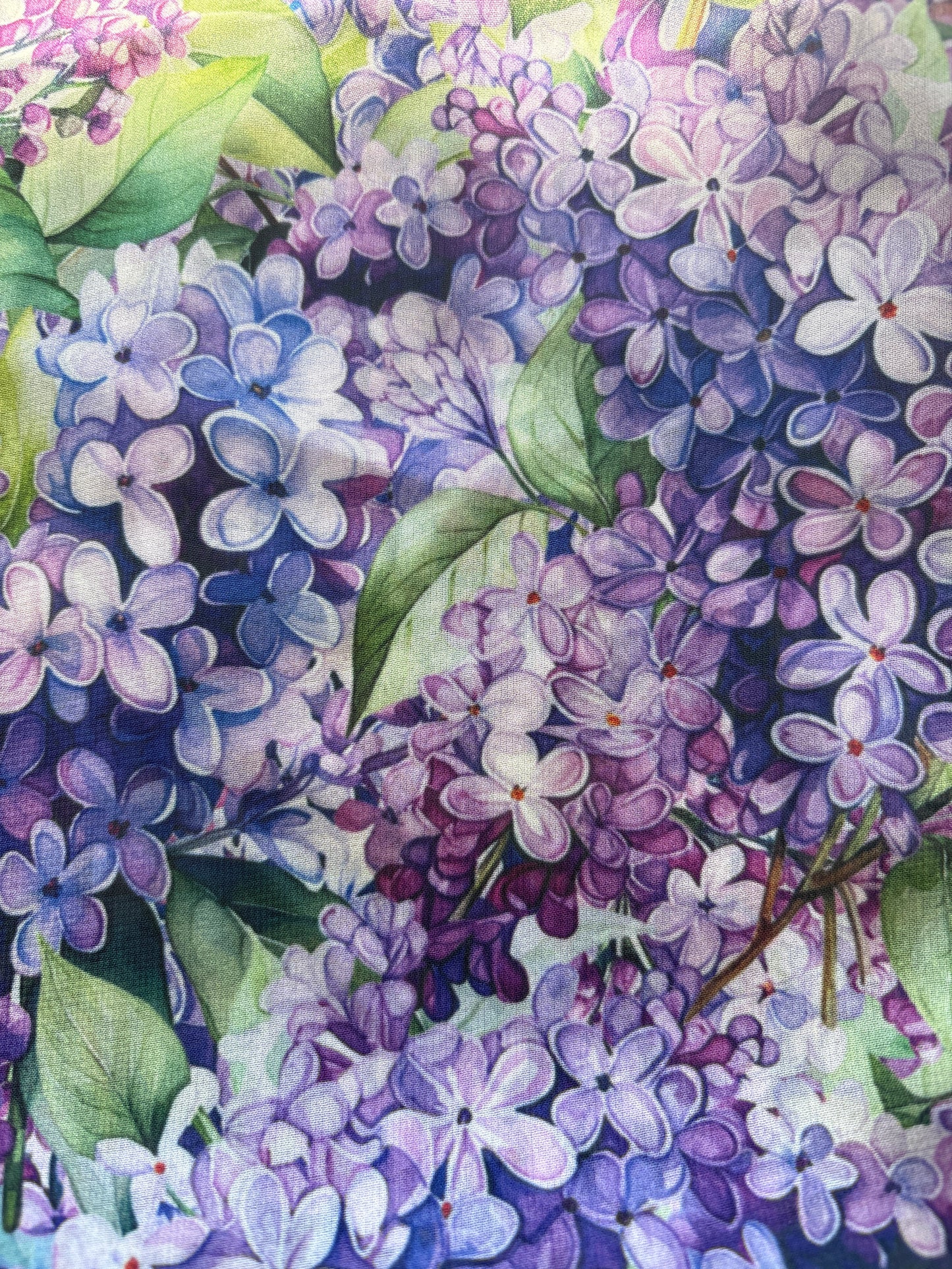 WILDRAG || LILAC