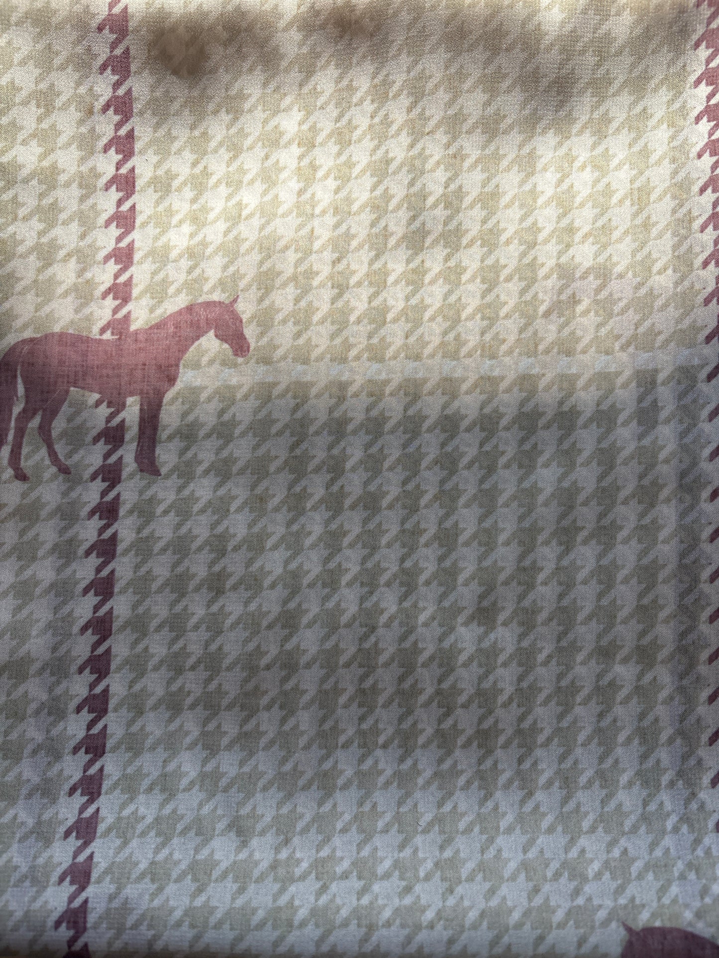 WILDRAG || PONY CLUB