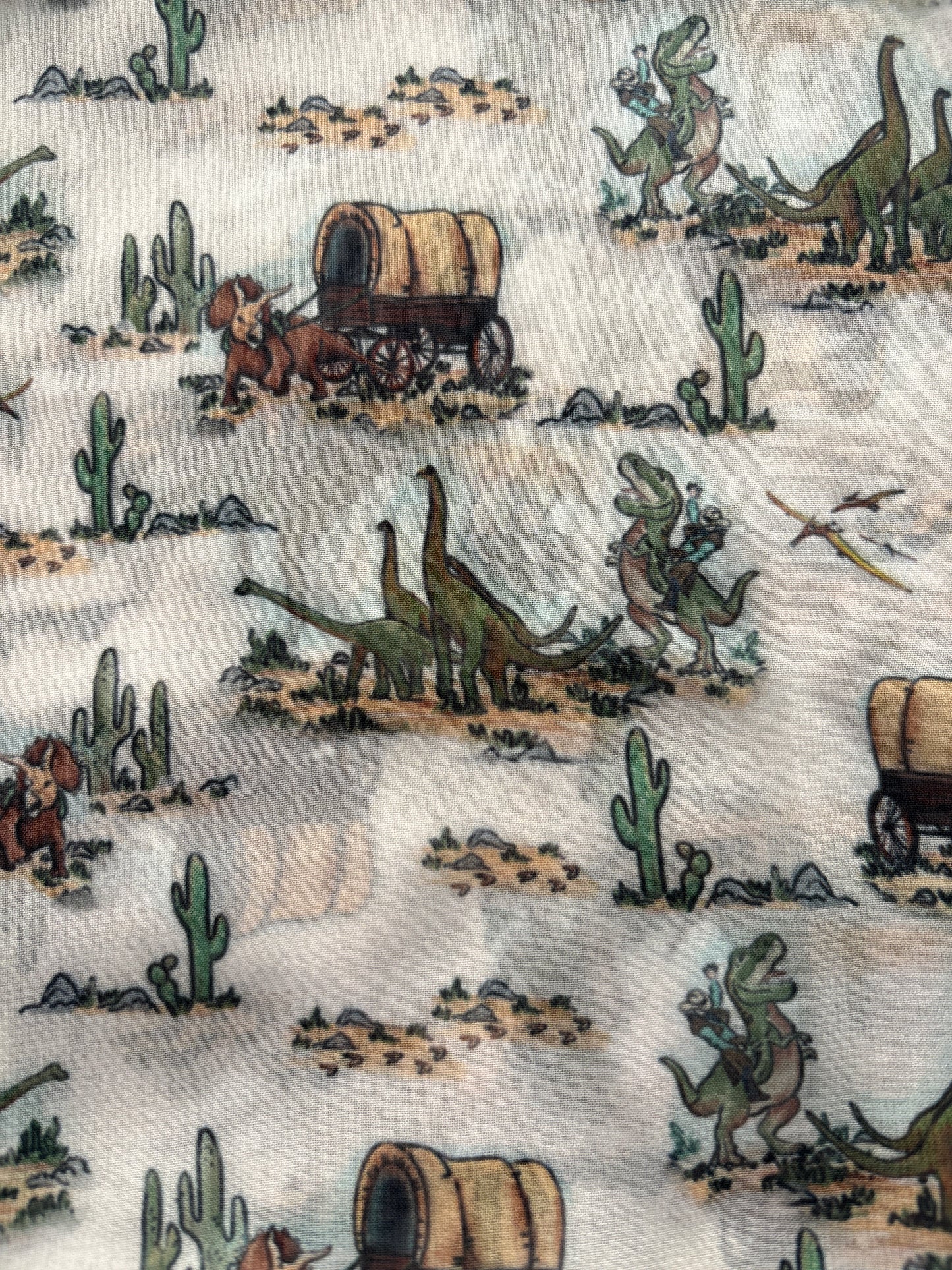 WILDRAG || DINO COWBOYS