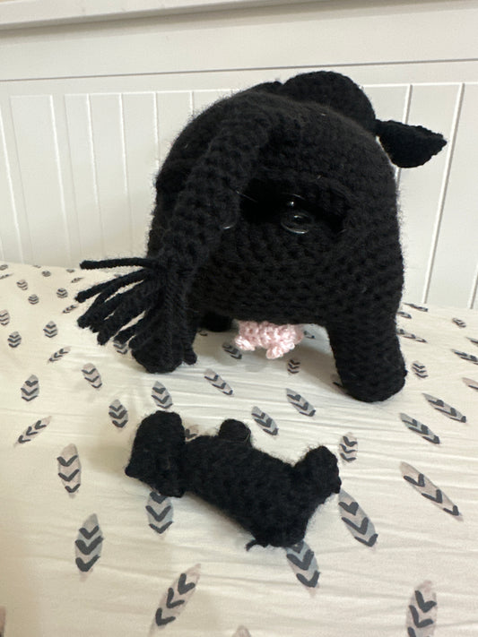 CALVING COWS : BLACK ANGUS