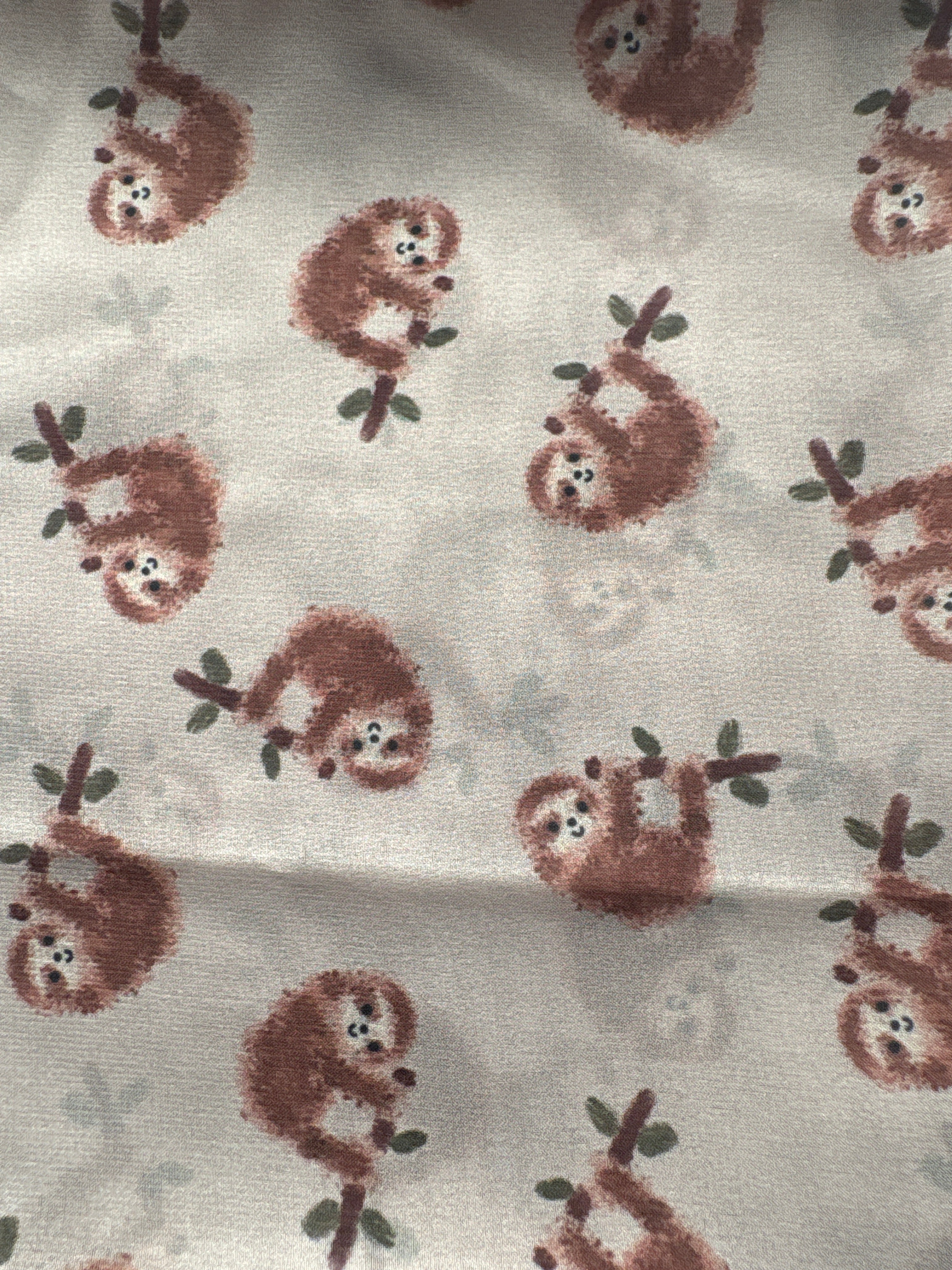 WILDRAG || BROWN SLOTHS