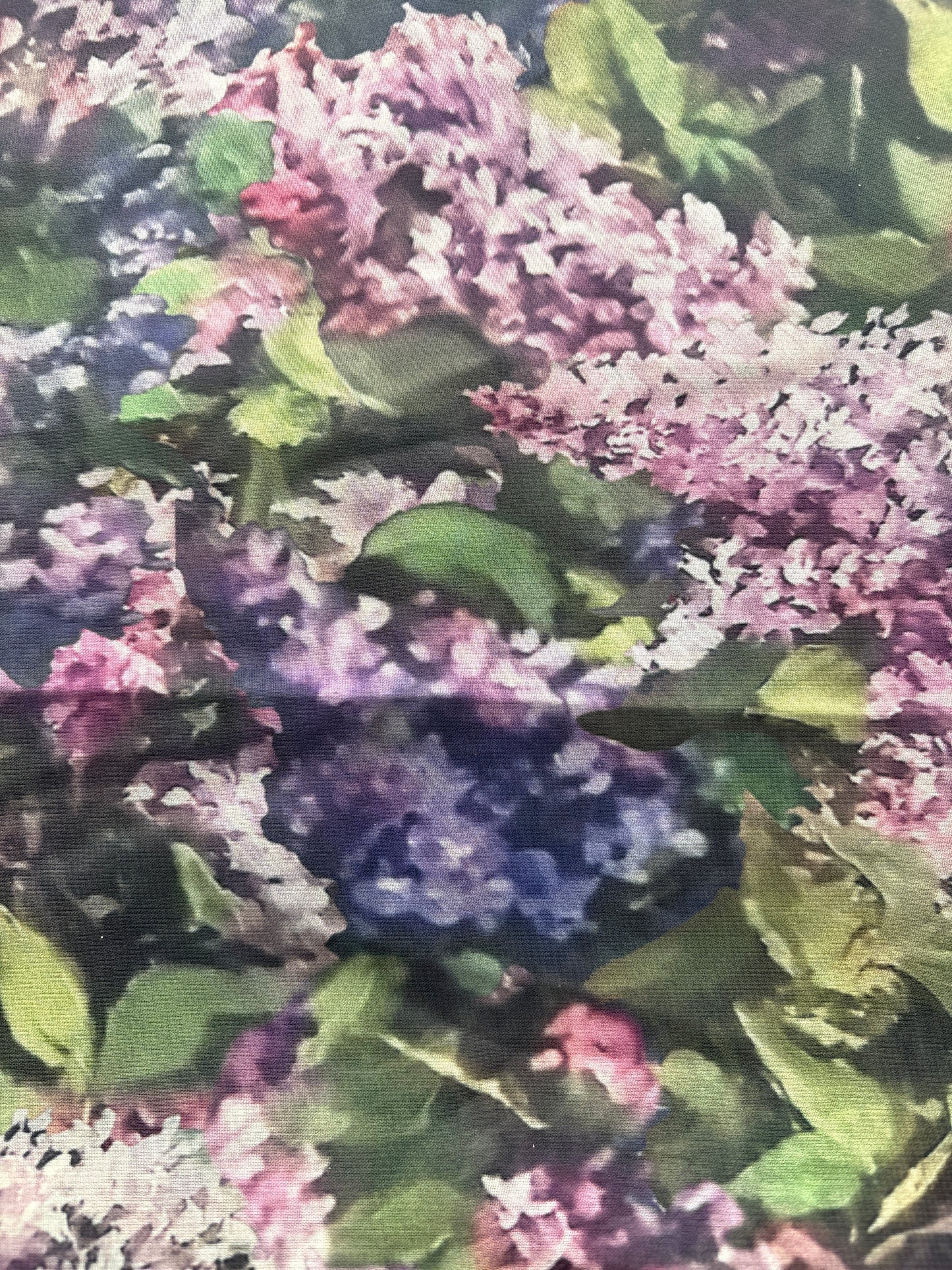 WILDRAG || LILACS