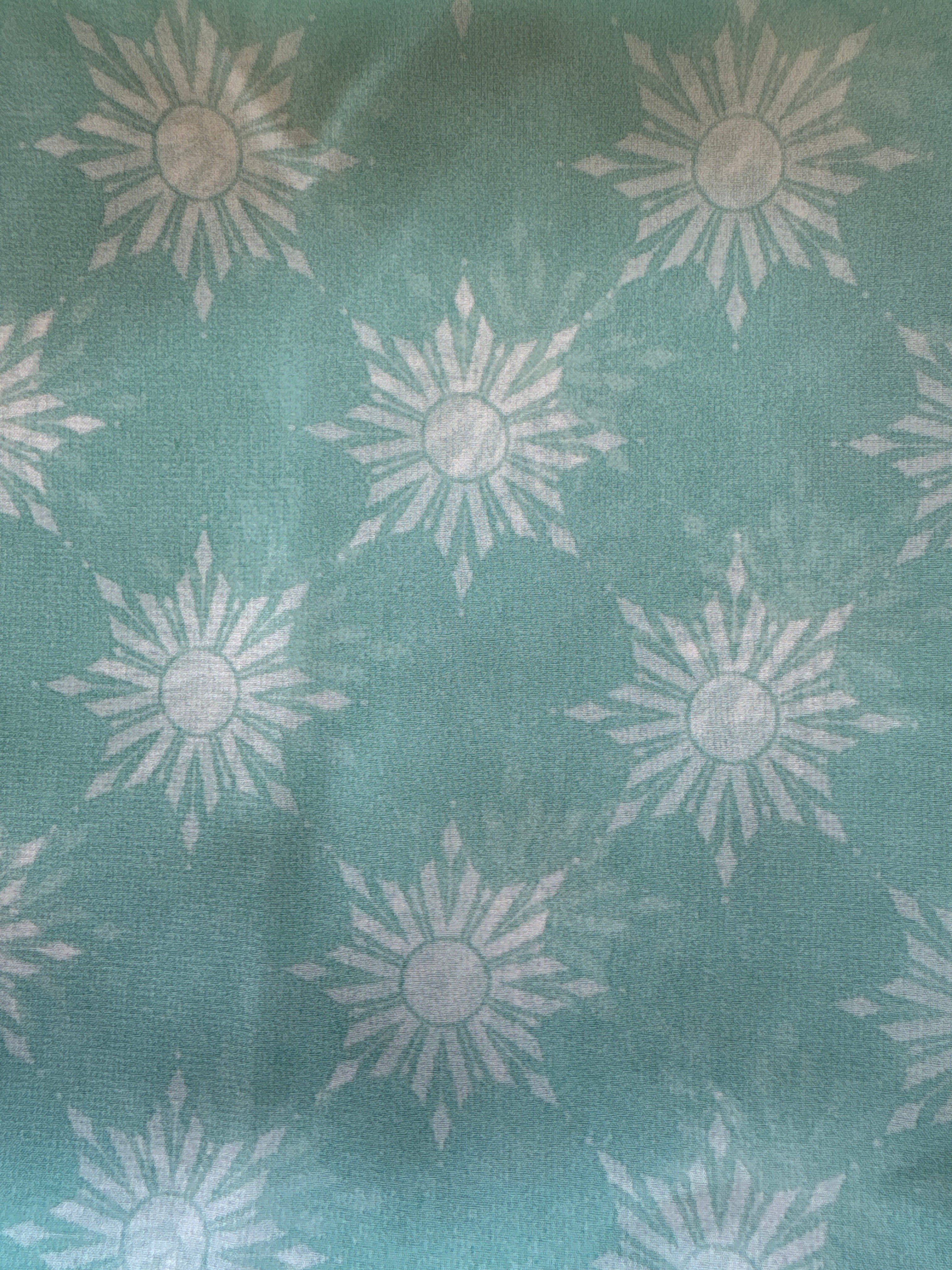 WILDRAG || FROZEN FLAKES
