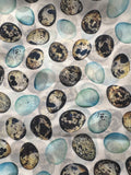 WILDRAG || PRETTY EGGS