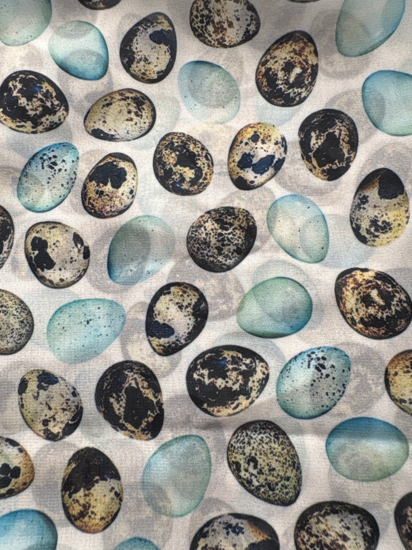 WILDRAG || PRETTY EGGS