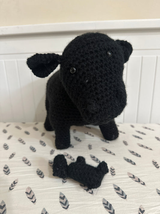 CALVING COWS : BLACK ANGUS