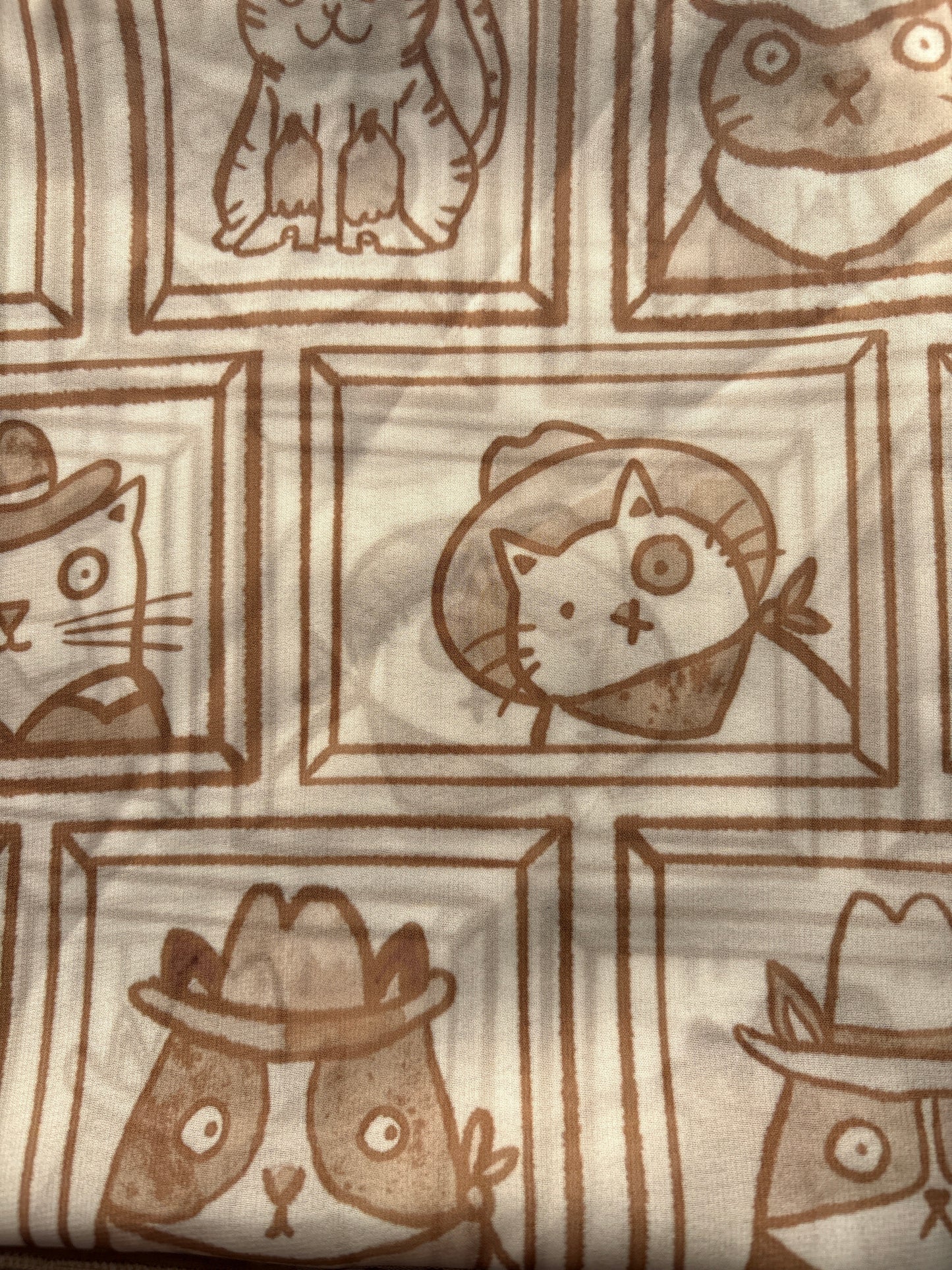 WILDRAG || COWBOY KITTY