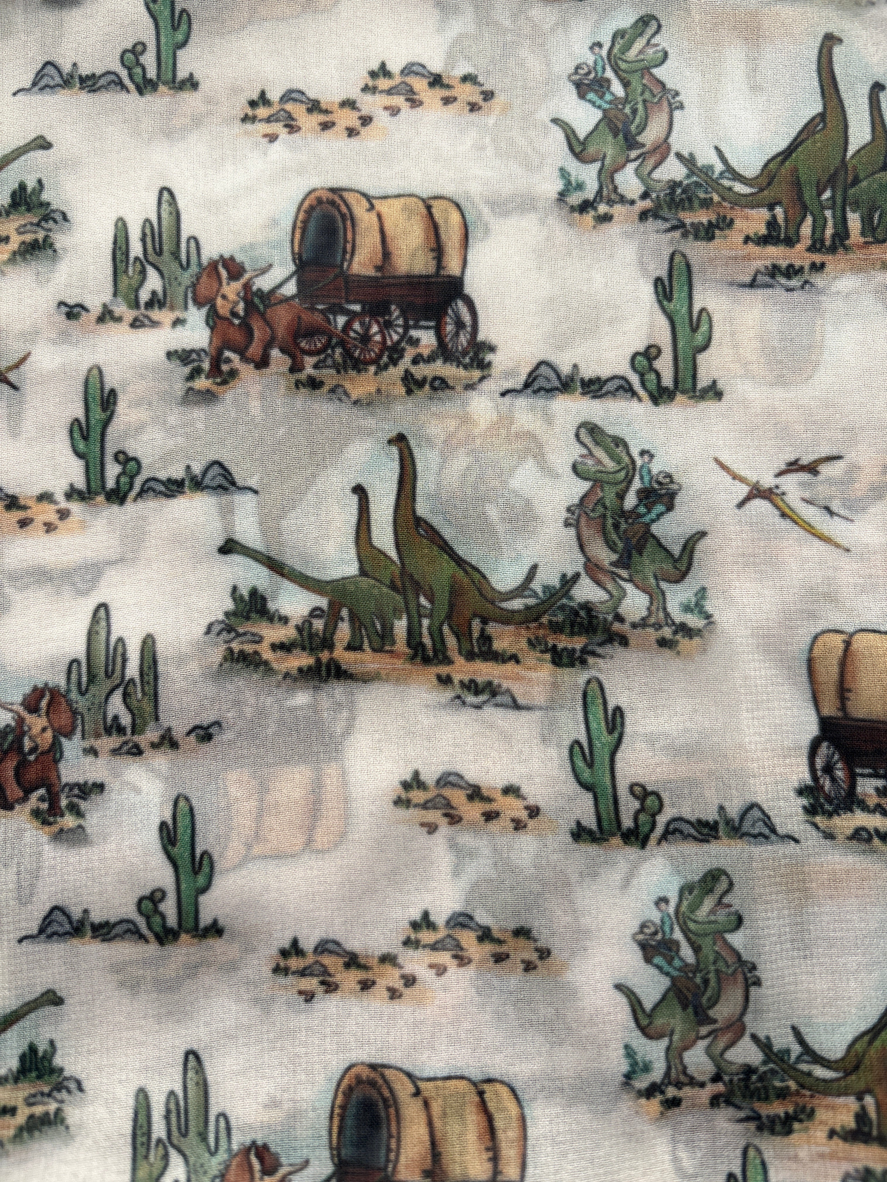 WILDRAG || DINO COWBOYS